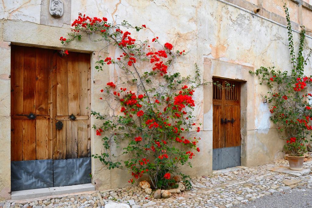 Bauernhof Son Sant Andreu Petra (Mallorca)