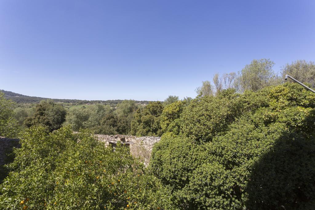Son Sant Andreu Bauernhof *
